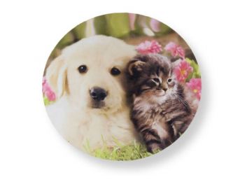 Összebújó cica és kutya tortaostya