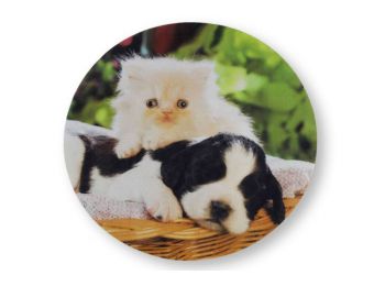 Cica kutyán tortaostya