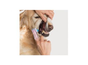 Kutya fogkefe - 4 darabos csomag
