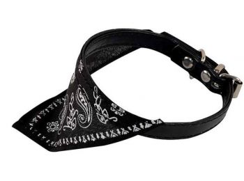 Kutya kendős nyakörv