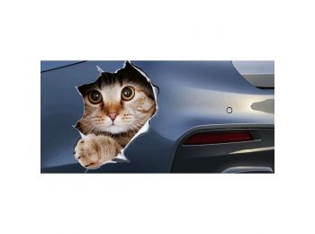 Autóból kimászó cica matrica