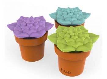 Tipsy Terrarium borzáró és kiöntő