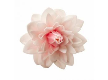 Óriás rózsaszín dália ostyavirág