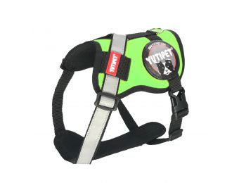 Yutipet RnD Kutyahám S2 Zöld