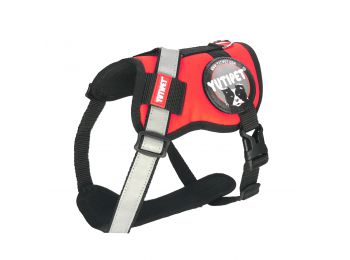 Yutipet RnD Kutyahám S2 Piros