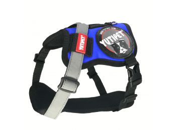 Yutipet RnD Kutyahám S Kék