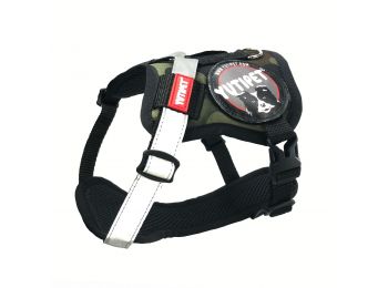 Yutipet RnD Kutyahám S Terep