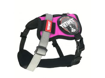 Yutipet RnD Kutyahám S Pink