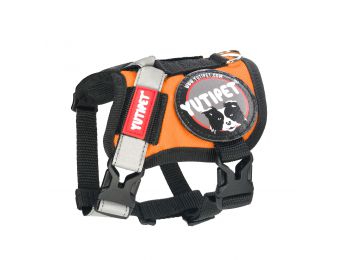 Yutipet RnD Kutyahám XS Narancs