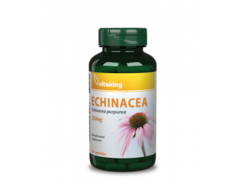 Vitaking Bíbor kasvirág (Echinacea) kivonat 90db