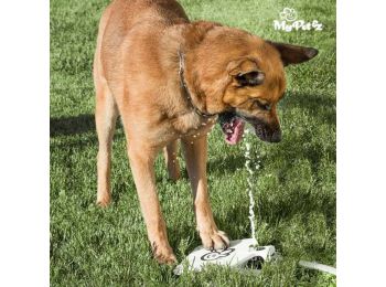 My Pet Ez Pedálos Ivókút Kisállatoknak