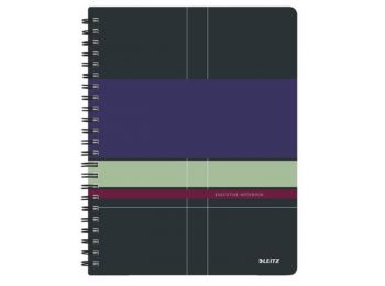 Spirálfüzet, rendszerező, A4, vonalas, 80 lap, LEITZ Exec