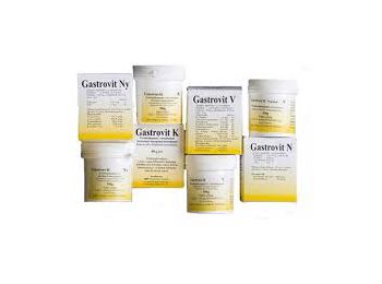 Gastrovit Ny Vitamin Por 50 g