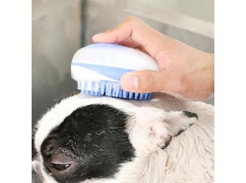 Kutya fürdető kefe