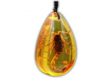 Skorpió a kőben nyaklánc