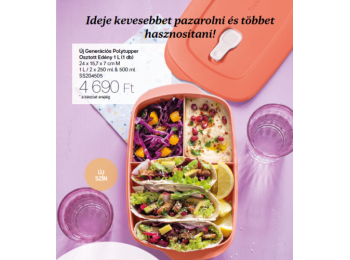 Új generációs polytupper osztott edény 1 L melone 1 db T