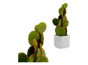 Kaktusz Kaktusz 50 (12 x 47 x 12 cm)