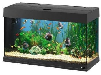 Ferplast Dubai 80 LED Black Akvárium Szett #Megrendelésre#
