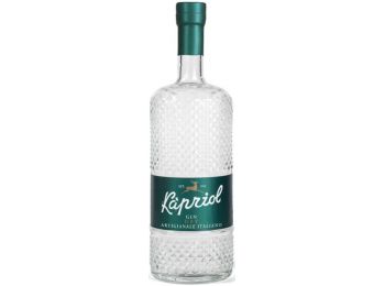 Kapriol Dry Gin - 0,7L (41,7%)