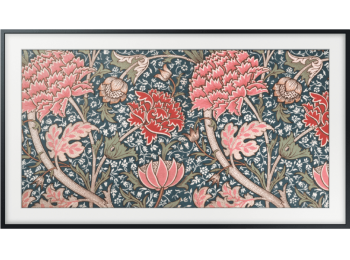 Samsung QE55LS03RAUXXH Televízió