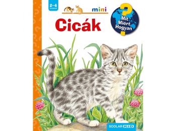 Cicák
