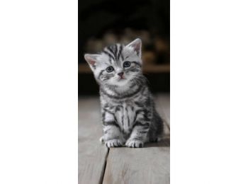 CICÁS FEKETE-FEHÉR törölköző 70x140 cm