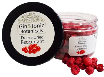 Gin Tonic Botanicals kis tégelyben liofilizált ribizli 17 gr