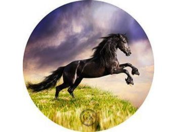 Felágaskodó fekete ló tortaostya