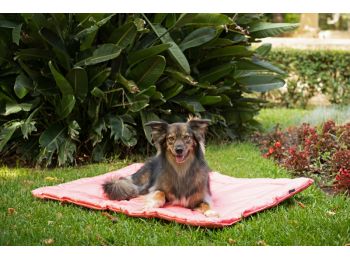 Agui Waterproof Summer Mat palakék 75x50