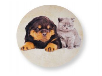 Kiskutya és kiscica tortaostya