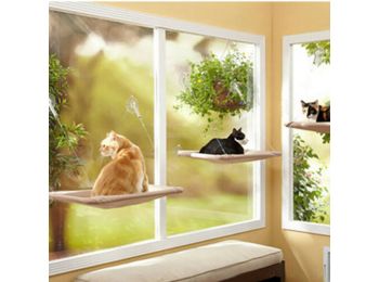 Macska fekhely ablakra, cica fekhely, ablakra tapasztható c