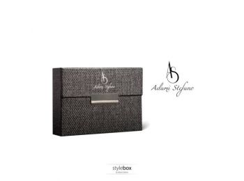 STYLEBOX FOR HEETS MESH TITANIUM