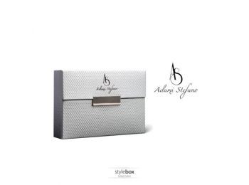 STYLEBOX FOR HEETS METAL-X SILVER