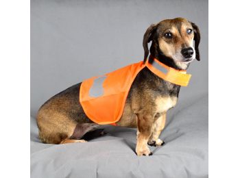 Fényvisszaverős kutyamellény tacsiknak - narancs (L méret)