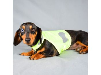 Fényvisszaverős kutyamellény tacsiknak - neonsárga (M méret)