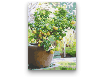 Citromfa - számfestő készlet