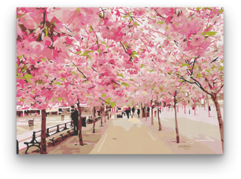 Cseresznye Virágok - számfestő készlet