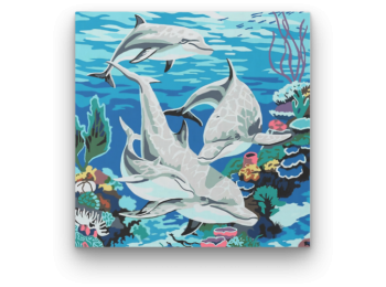 Delfinek - számfestő készlet
