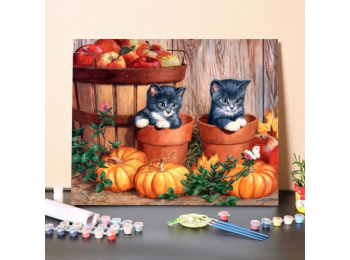 Kiscicák a Cserepekben - számfestő készlet