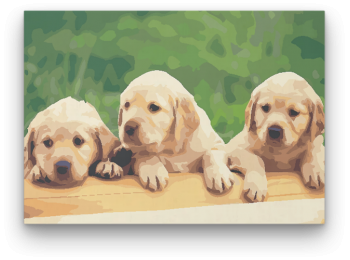 Kiskutyák - számfestő készlet