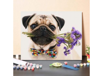 Mopszli Kutya És Virágok - számfestő készlet