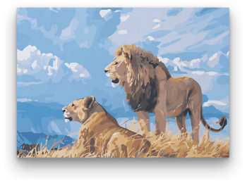 Oroszlánpár - számfestő készlet