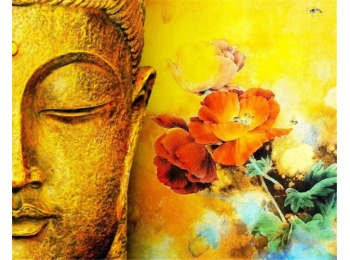 Sárga Buddha - számfestő készlet