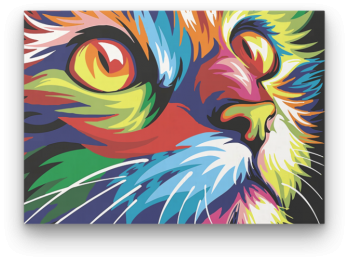 Színes Macska - számfestő készlet