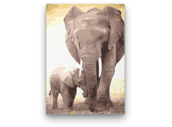 Elefántok - számfestő készlet