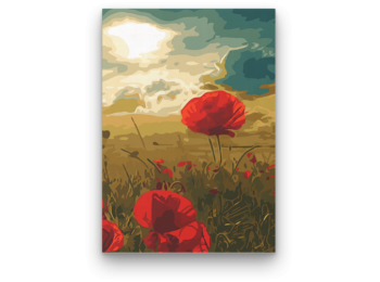 Pipacs - számfestő készlet