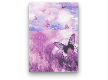 Pillangók a Réten - számfestő készlet