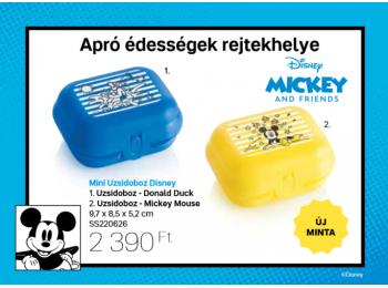 Mini uzsidoboz Disney Tupperware