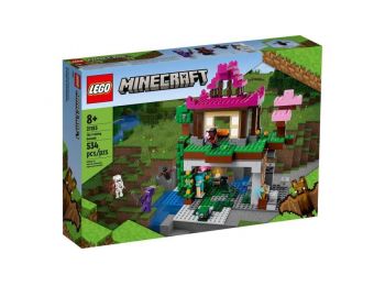 LEGO Minecraft - A gyakorlótér (21183)