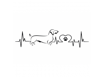 EKG-s tacskó autómatrica